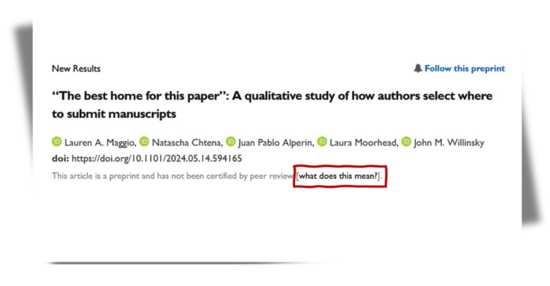 Screenshot of the reference for the article “The best home for this paper”: A qualitative study of how authors select where to submit manuscripts